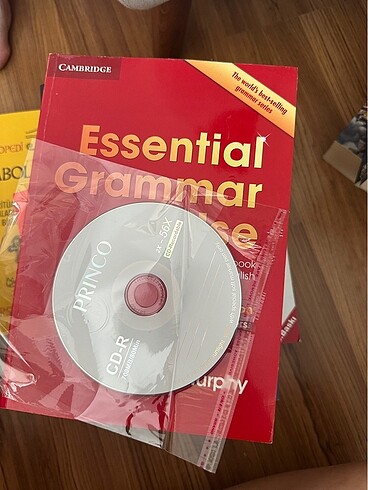 Cambridge Essential Grammar in Use