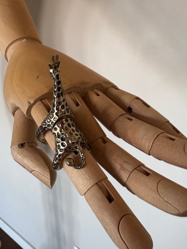 Zürafa Yüzük - Görsel 2