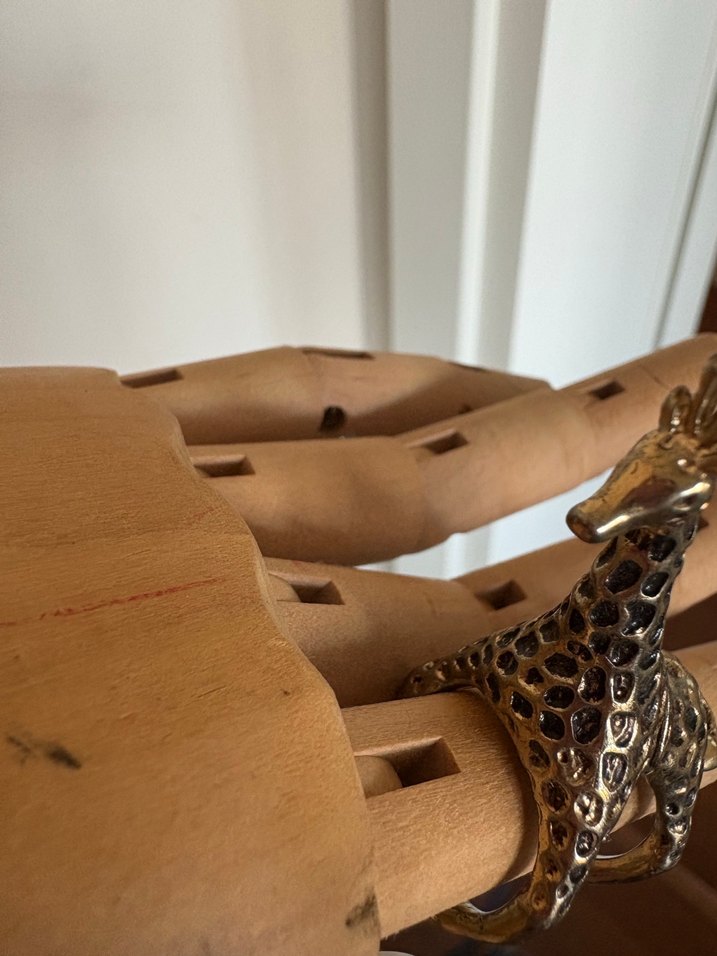 Zürafa Yüzük - Görsel 4