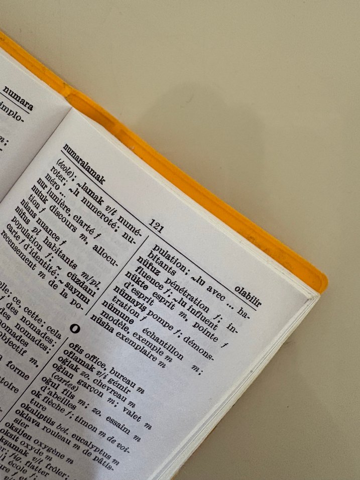 Langenscheidt Fransızca-Türkçe Sözlük - Görsel 3