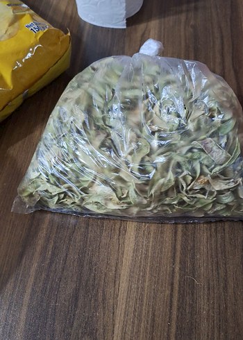 kuru yeşil fasülye - Görsel 2