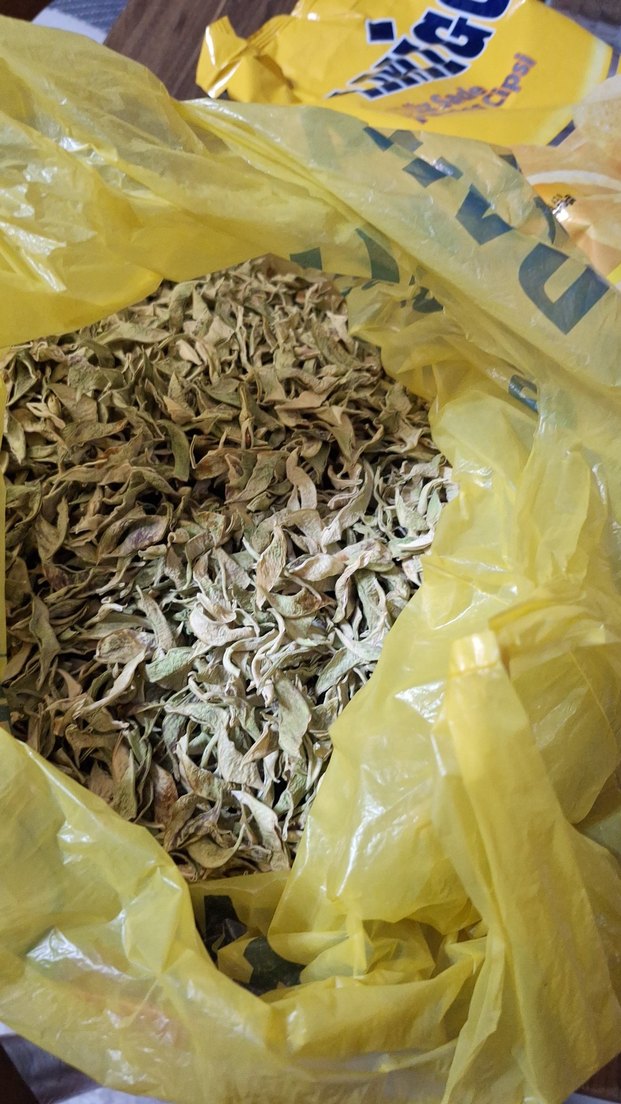 kuru yeşil fasülye - Görsel 3