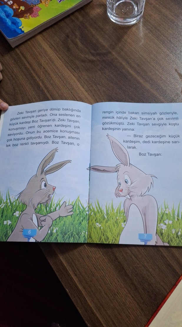 Orman Sakinlerinin Maceraları: Zeki Tavşan - Görsel 2