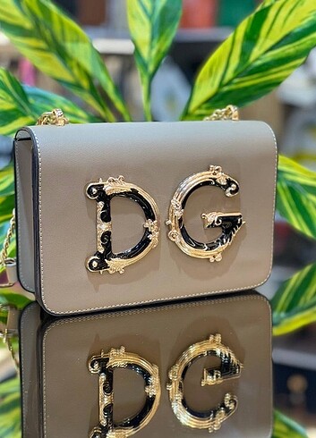 DG modeli