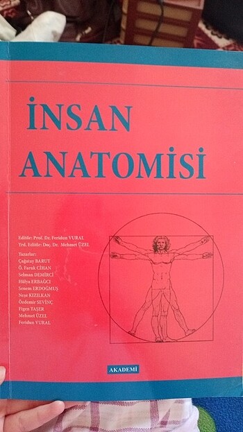İnsan Anatomisi 