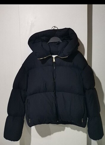 Tommy hilfiger mont LACİVERT