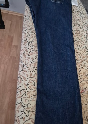Lee 40