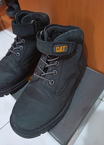 36 Beden Cat Bot