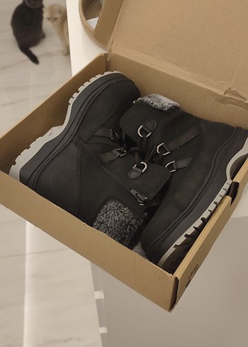 Vicco Alexis çocuk bot - Görsel 3