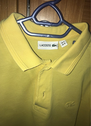 m Beden Orjinal erkek lacoste tişört
