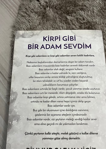 Kirpi Gibi Bir Adam Sevdim - Görsel 2