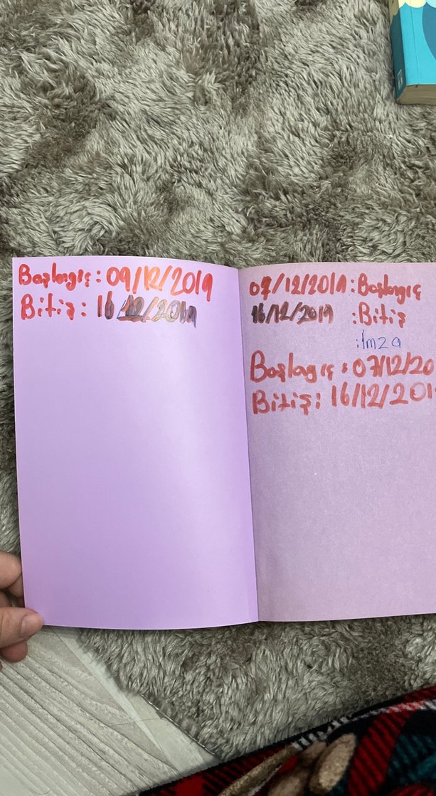 Halime Kaptan - Rıfat Ilgaz Romanı - Görsel 3