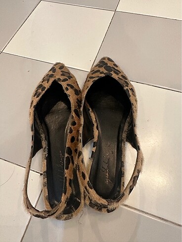 37 Beden Babet