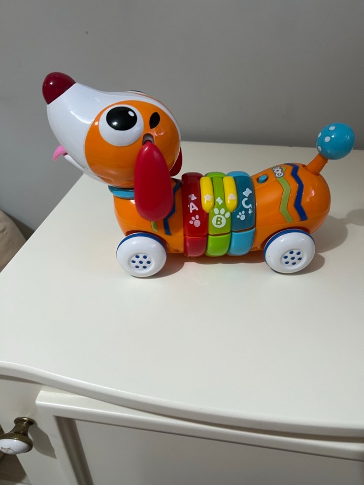 Renkli Eğitici Köpek Oyuncak - Görsel 3