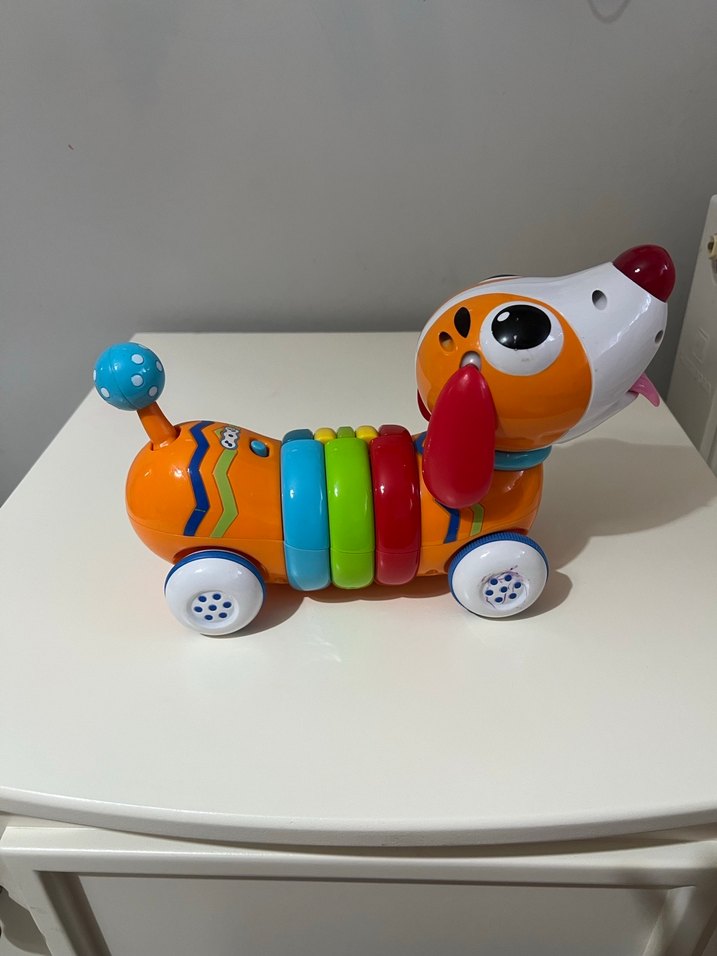 Renkli Eğitici Köpek Oyuncak - Görsel 4