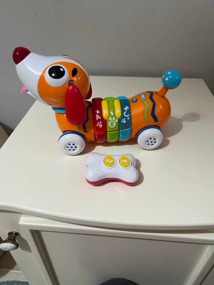 Renkli Eğitici Köpek Oyuncak - Görsel 2