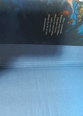 Ayın Güneşi - Roman - Görsel 6