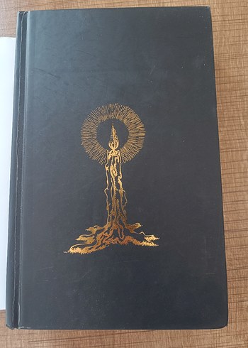 Siyam - Beyza Aksoy Roman - Görsel 5