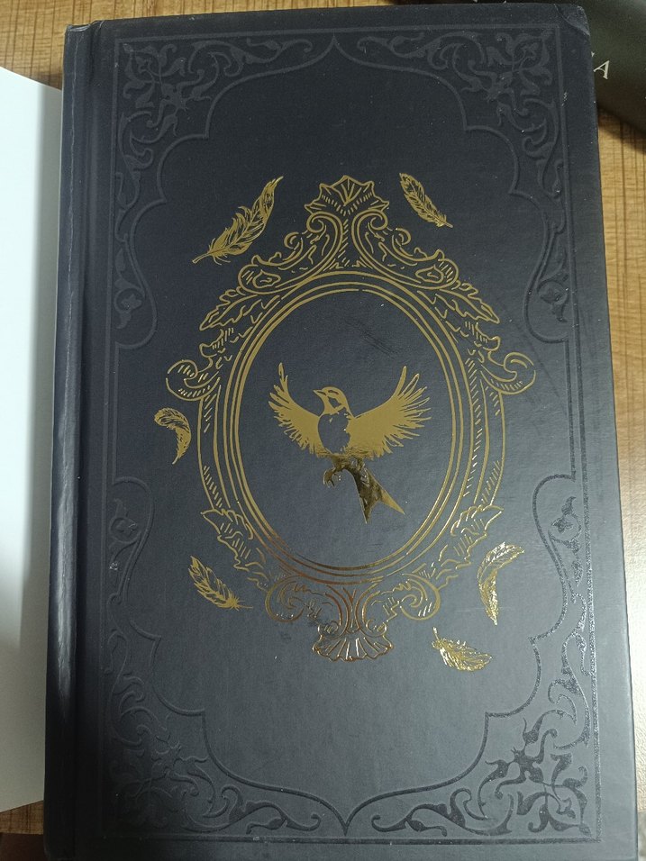 Saka ve Sanrı - Maral Atmaca - Görsel 4