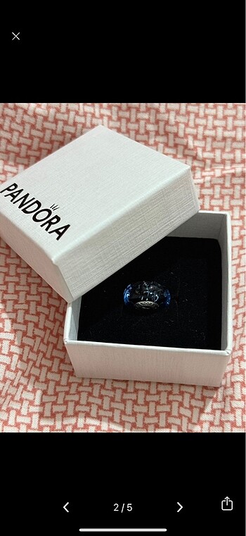 Pandora Pandora