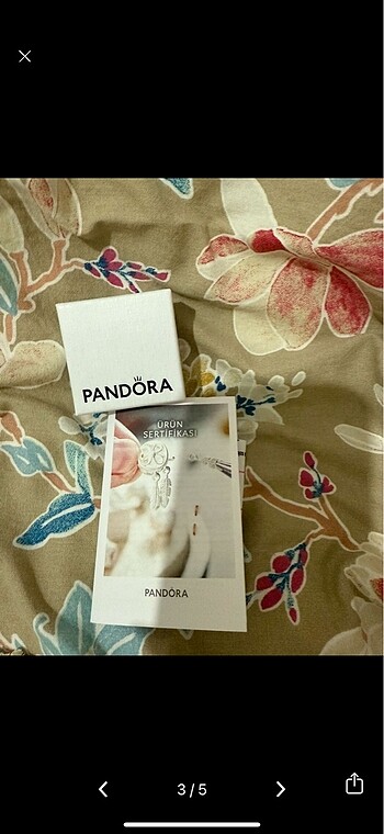  Beden Pandora