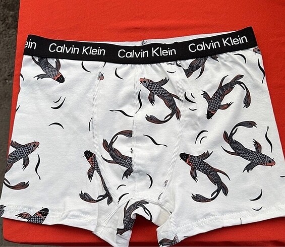 Calvin klein