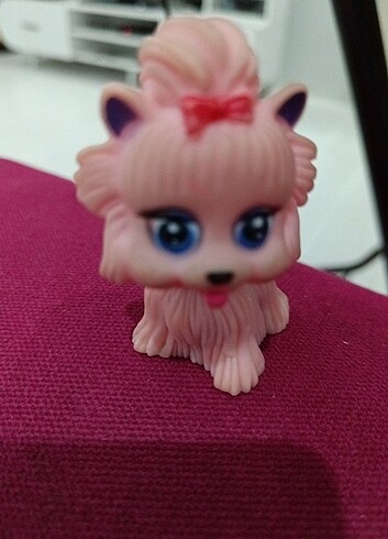  Köpek minis