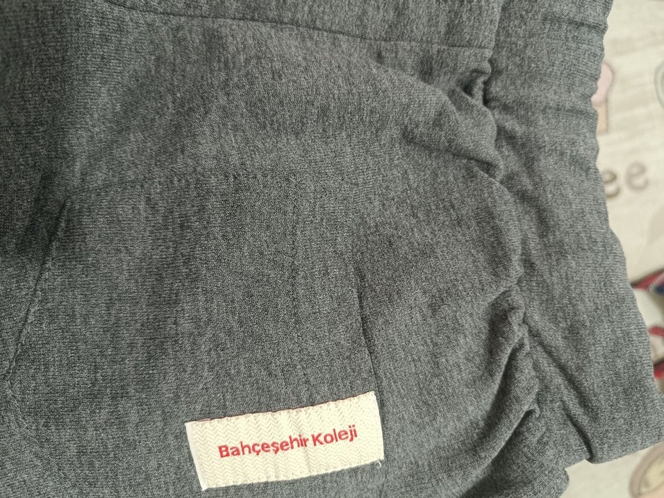 Gri Fermuarlı Erkek Eşofman Altı - BX Baskılı 9 10 yas - Görsel 4