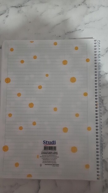 Çizgili defter - Görsel 2