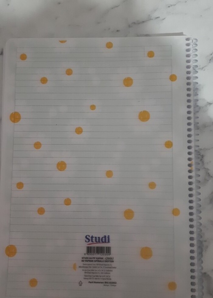 Çizgili defter - Görsel 2