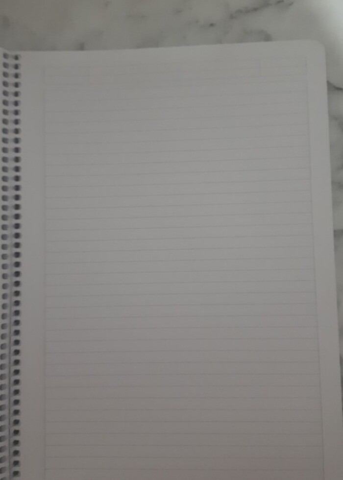 Çizgili defter - Görsel 3