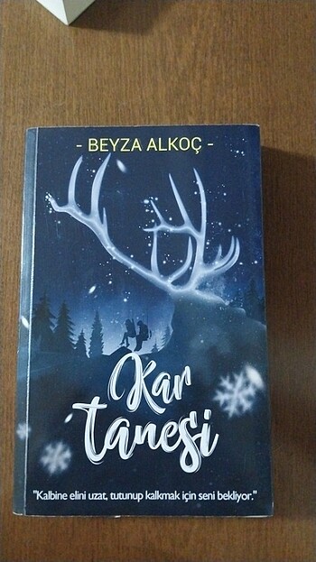 KAR TANESİ BEYZA ALKOÇ