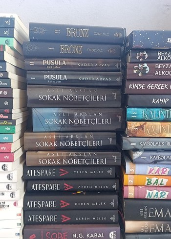 Beden Renk Çeşitli Romanlar Kitap Seti