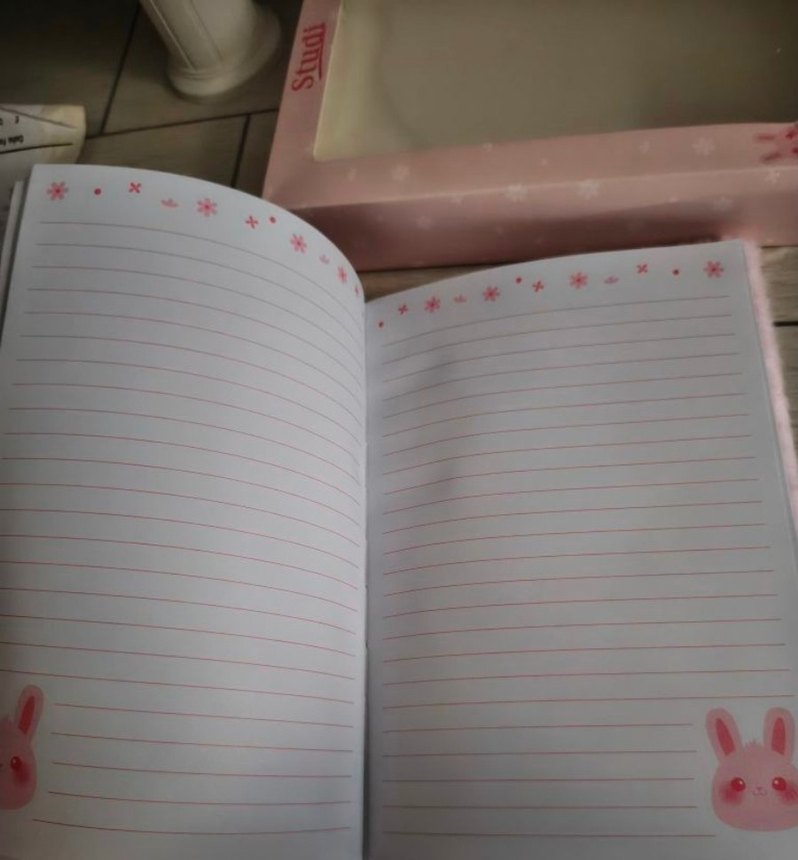 Pembe Peluş Tavşan Defter - Görsel 5