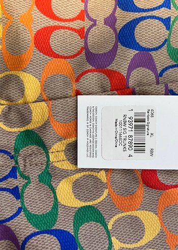 Coach Renkli Bohem Desenli Erkek Mayo Şortu - Görsel 4