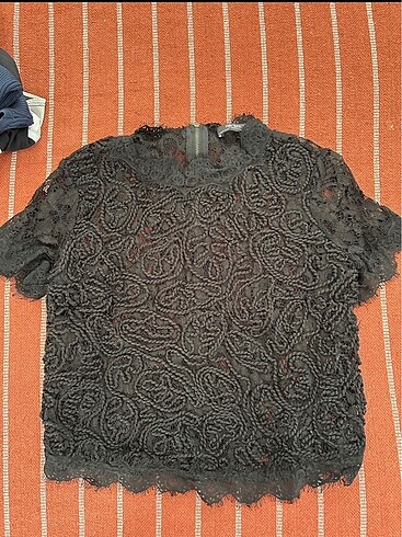 Zara crop