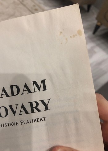 Madam Bovary - Gustave Flaubert