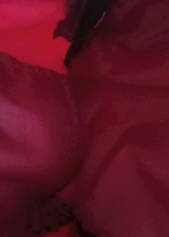 Su geçirmez çanta 2 adet decatlon - Görsel 6