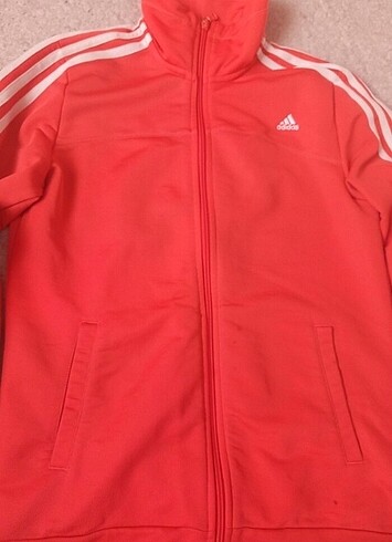 Adidas hırka