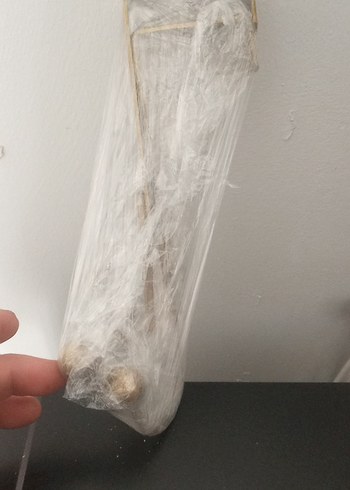 Bej Duvar Askısı 2 adet - Görsel 2