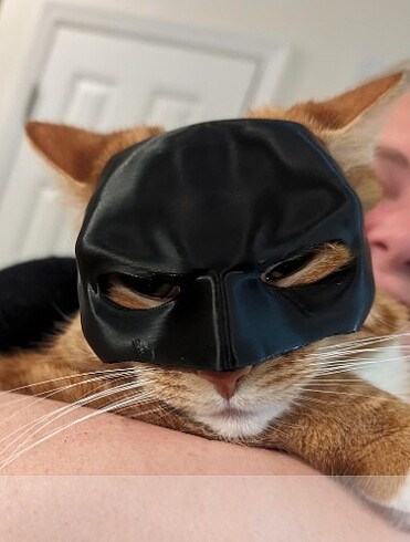 Maske