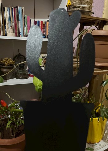 Kaktüs Şekilli aksesuar - Görsel 3