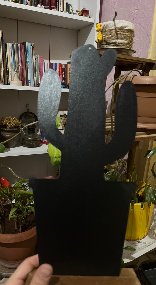 Kaktüs Şekilli aksesuar - Görsel 3