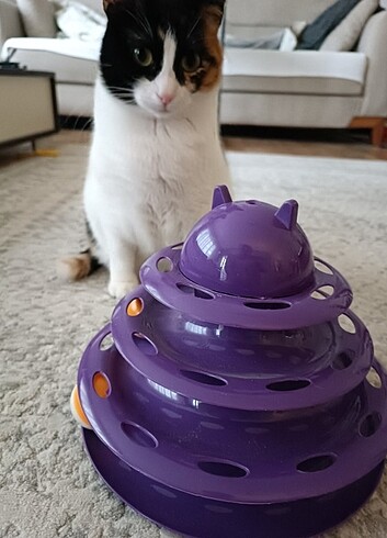  3 katlı kedi oyuncağı 