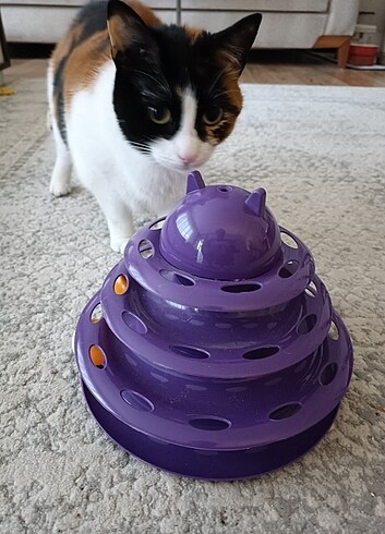  Beden Renk 3 katlı kedi oyuncağı 