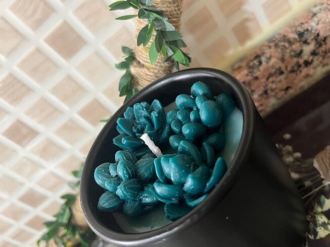 Mum kaktüs