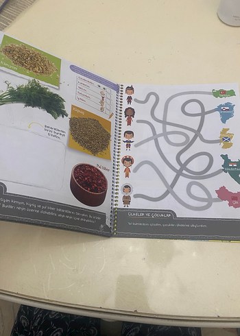 Beden Renk Dünyam Ülkem Bölgem Kültürüm Eğitim Kitabı