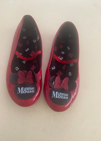 Walt Disney World 30