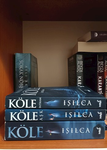 Işılca'dan Köle Serisi Romanlar