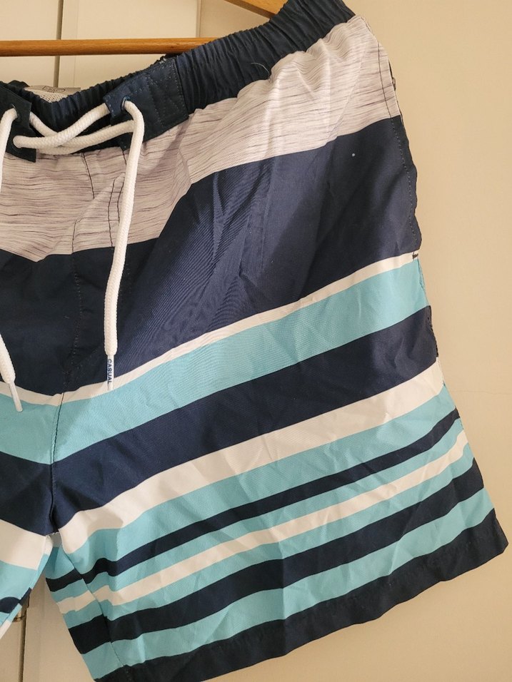 LC Waikiki Erkek Deniz Şortu Çizgili  Hızlı Kuruyan Kumaş - Görsel 4